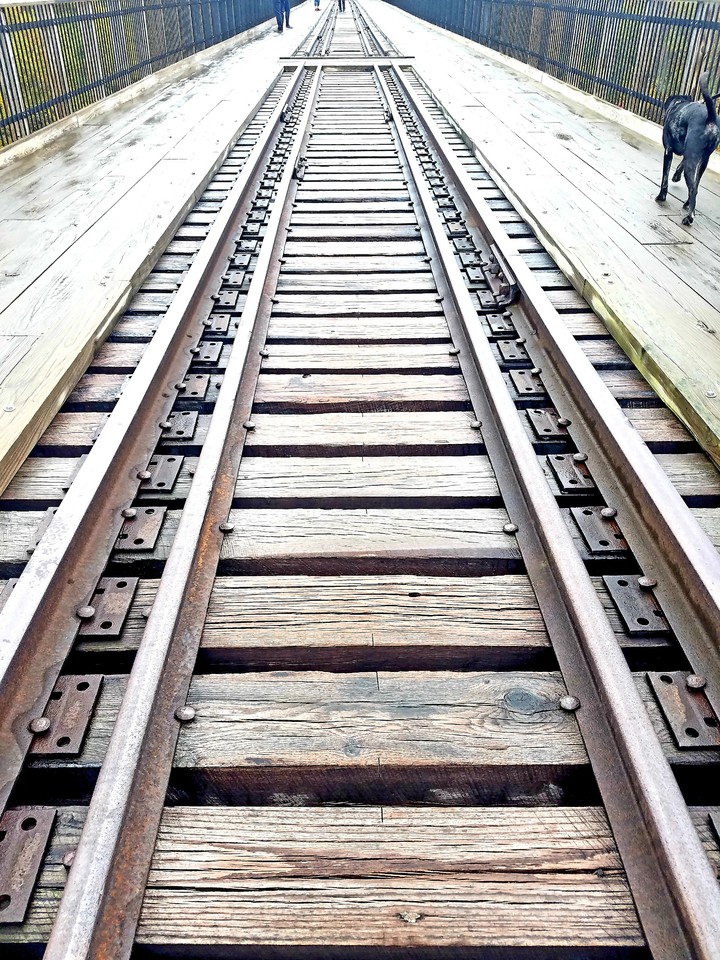 train tracks