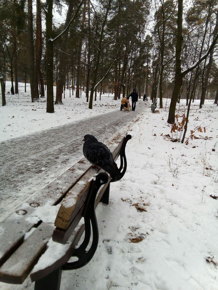 Winter