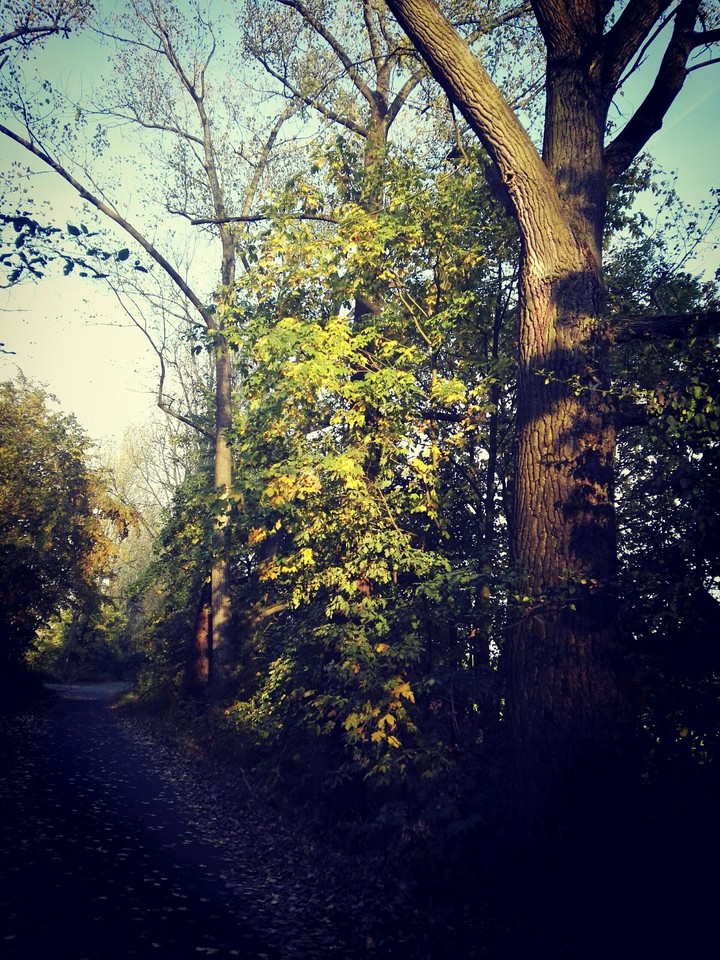 Autumn