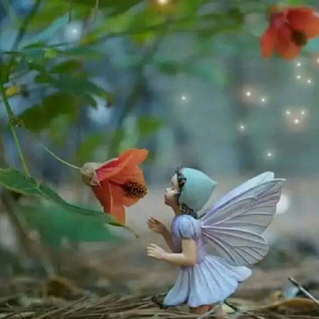 Animation  fairy