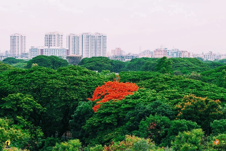 Bangladesh ??