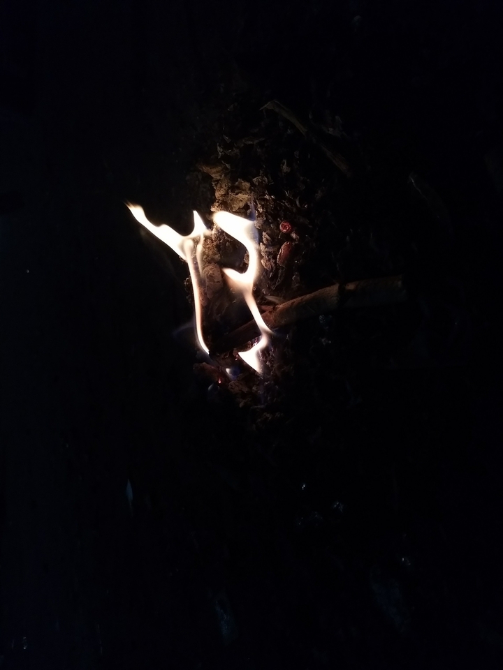 light in the dark