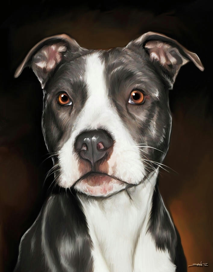 Pitbull