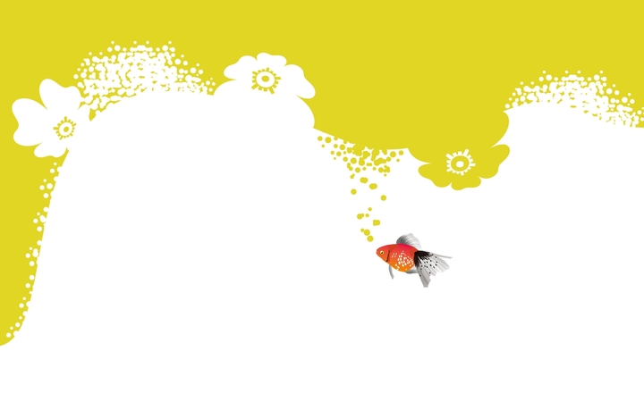 goldfish