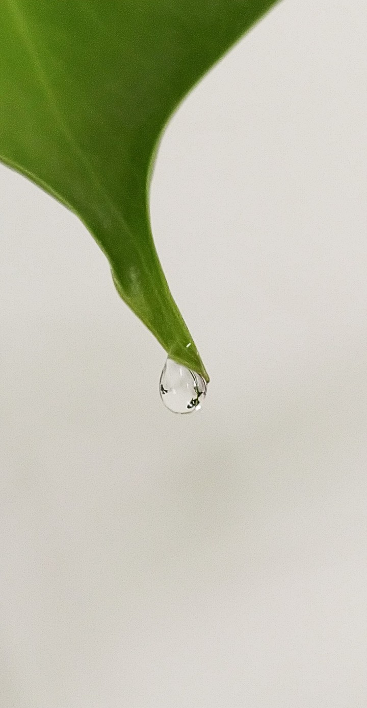 drop