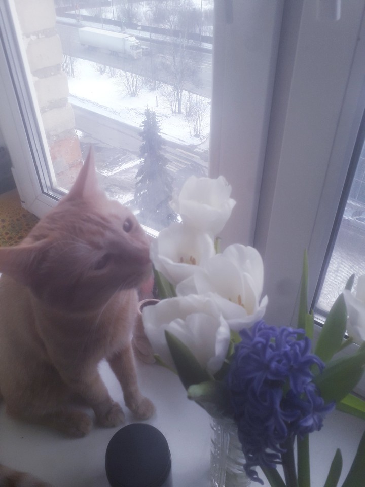 spring is here