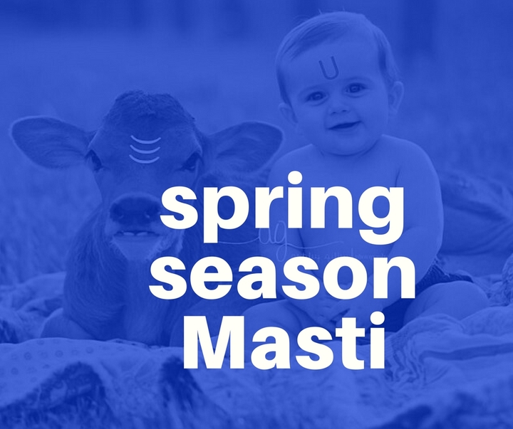masti masti