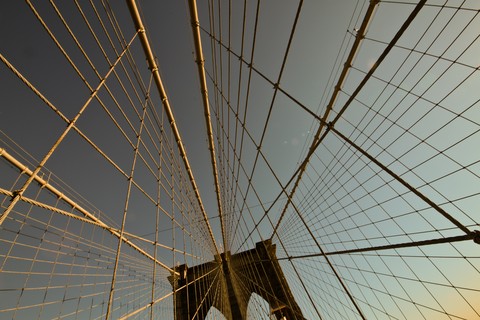 The Brooklyn Web