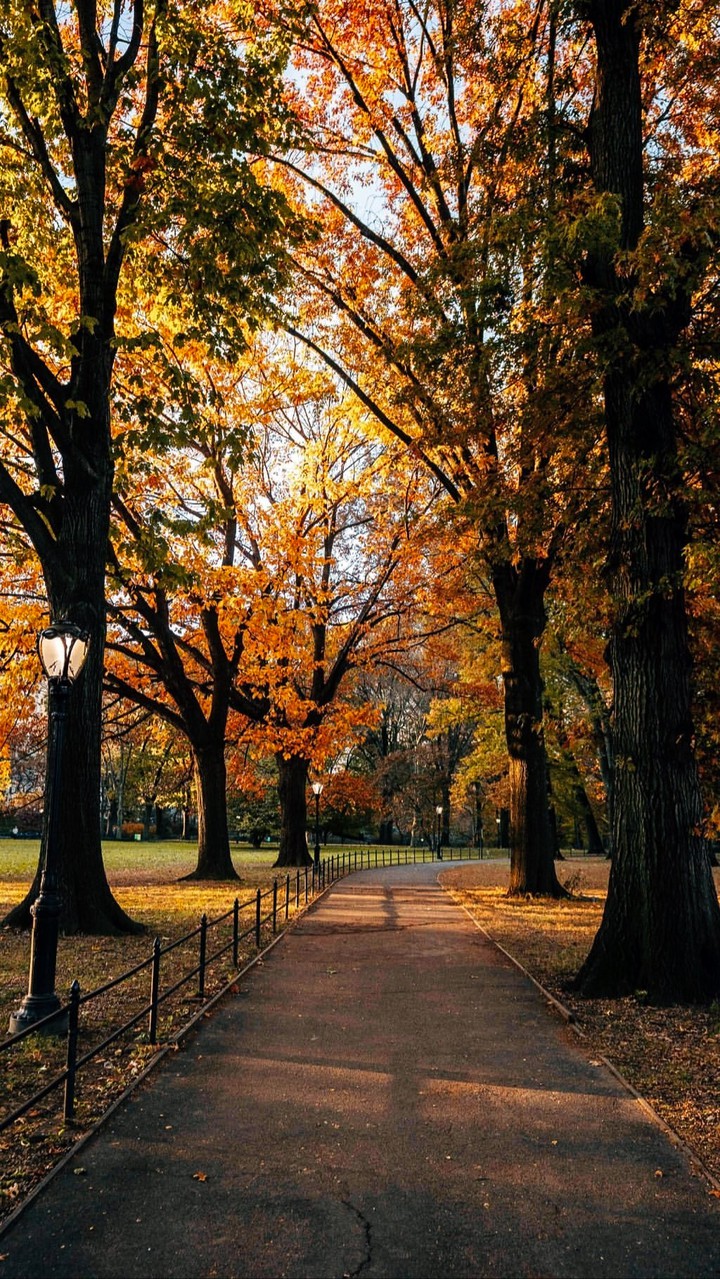 autumn?