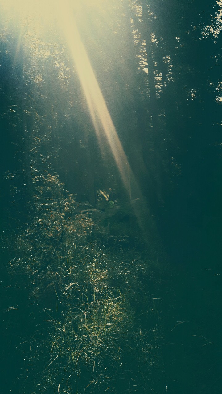 raggio di sole