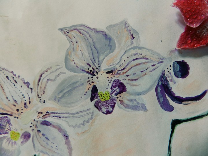 flowers