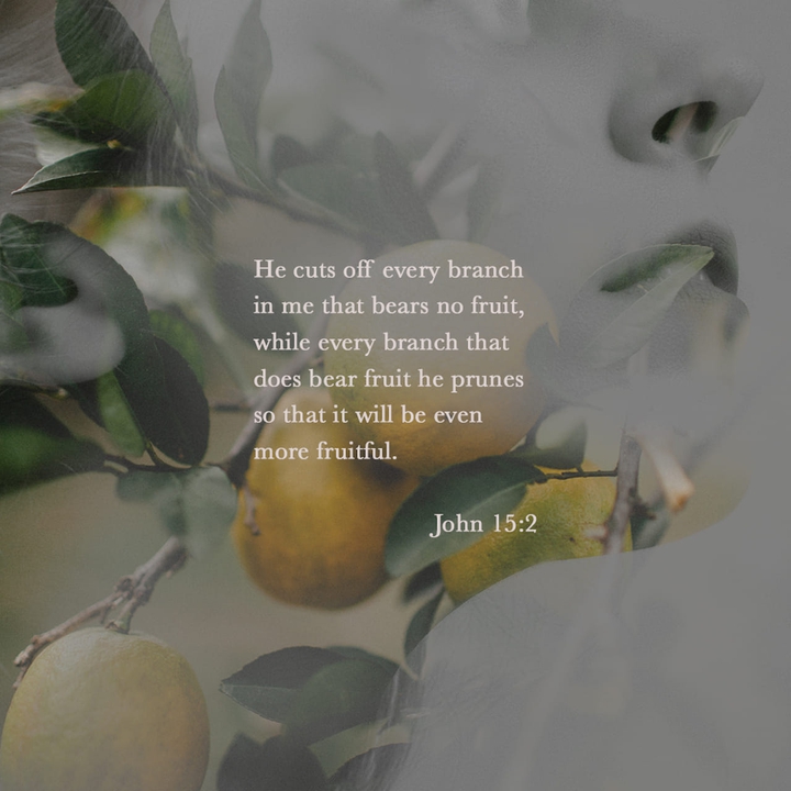 scripture