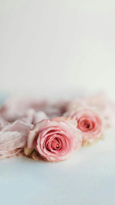 papéis de parede flora, decor