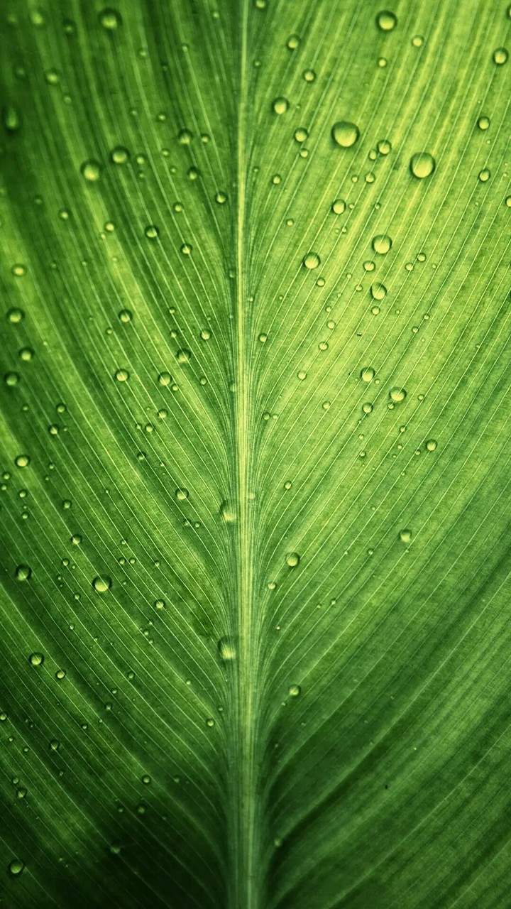 are
