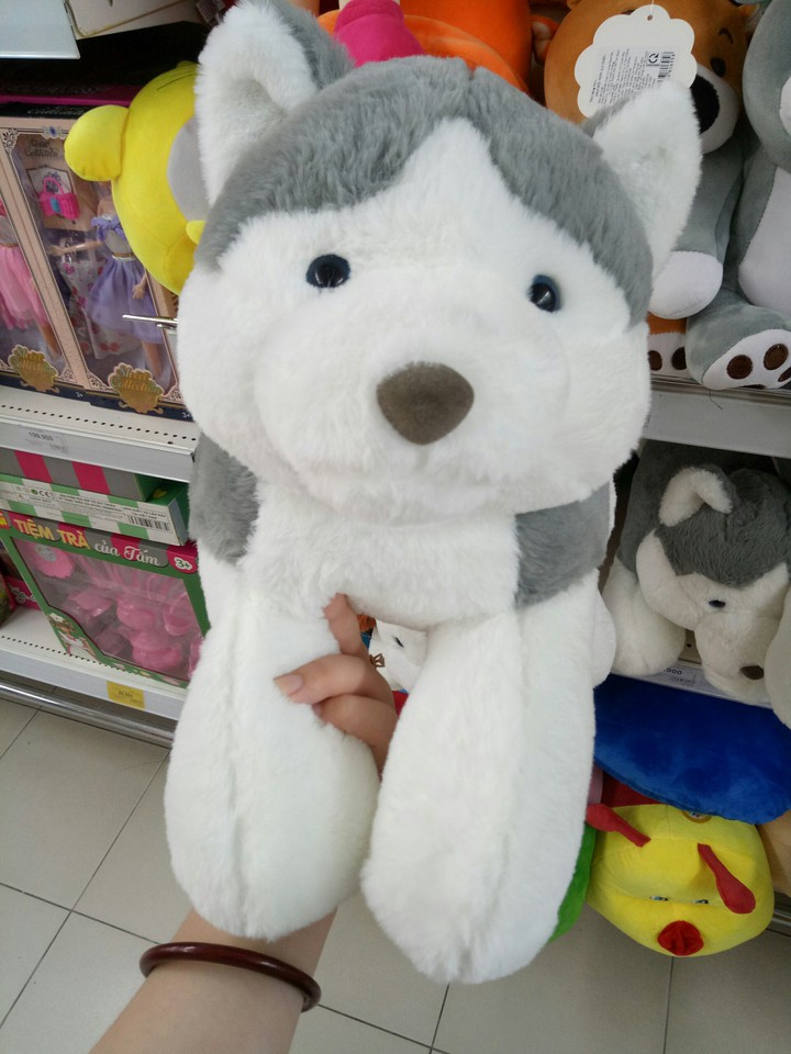Husky