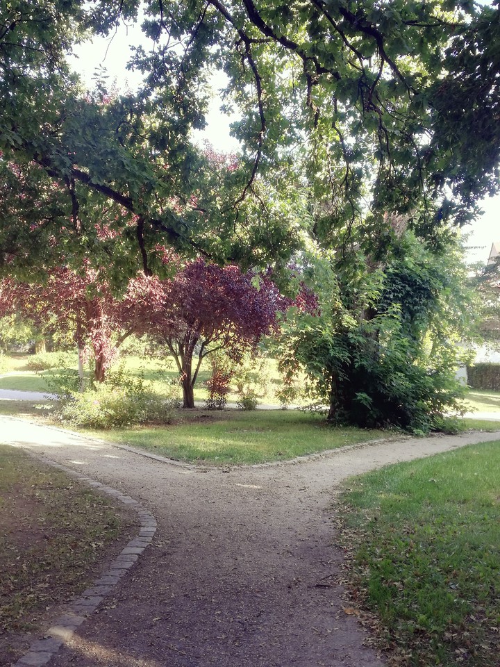 park