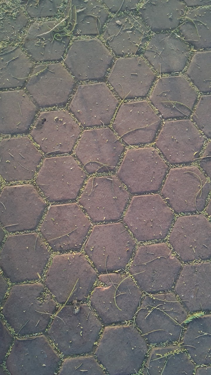Into the cracks and crevices.