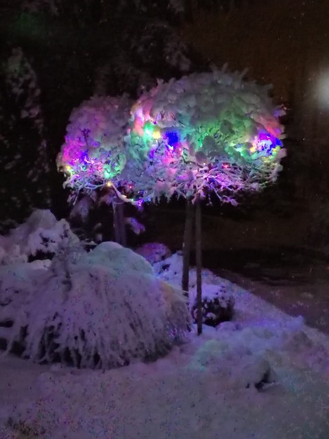 snow led