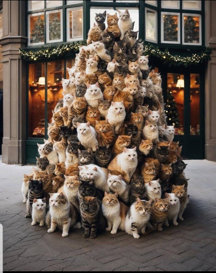 Christmas tree