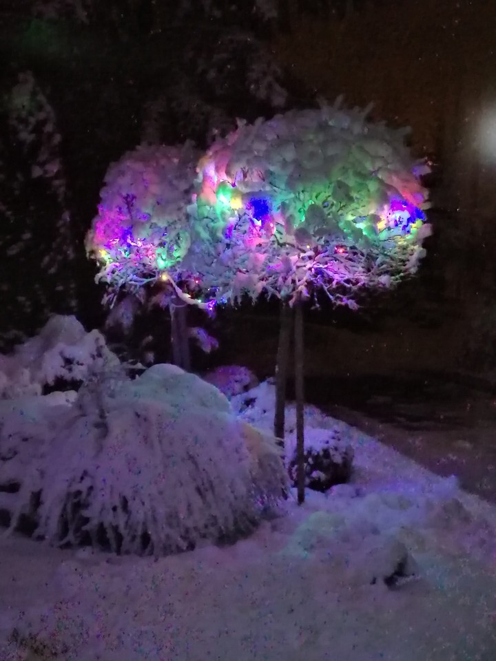 snow led