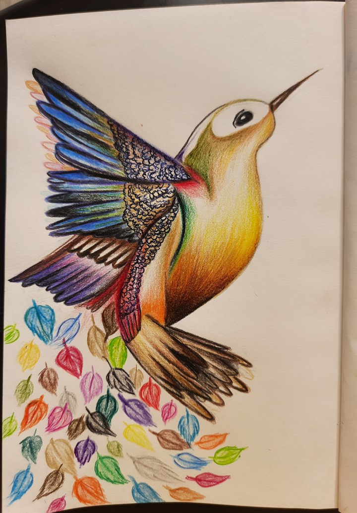 humming bird