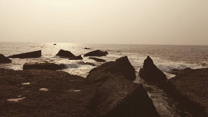 a black forest beach