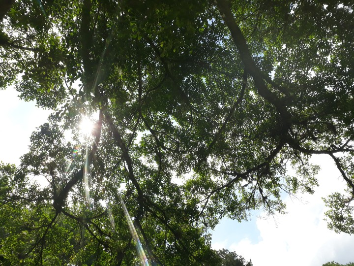 Sun