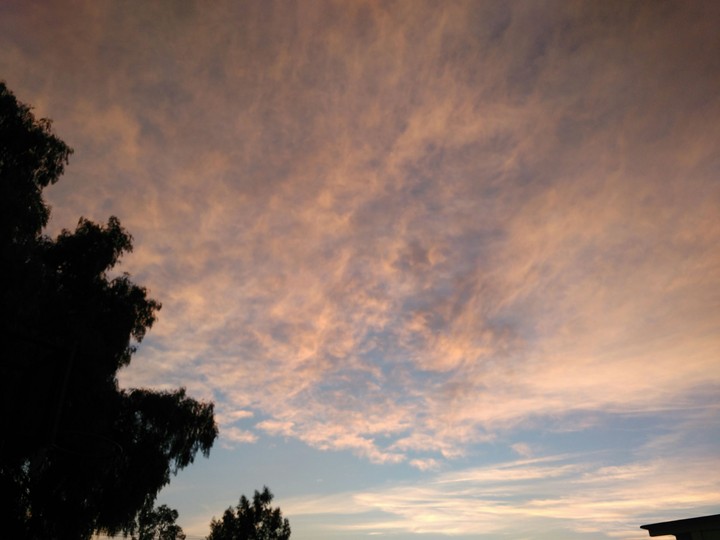 Morning