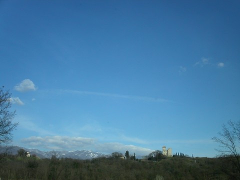Scenics