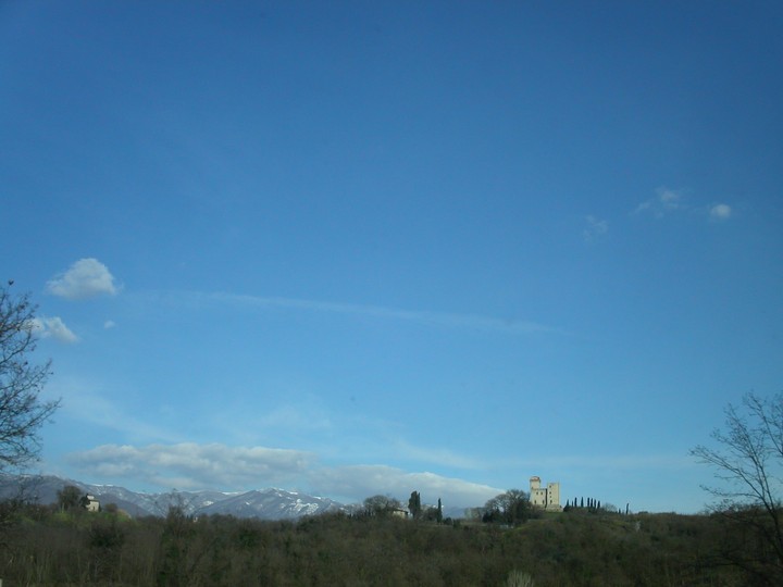 Scenics