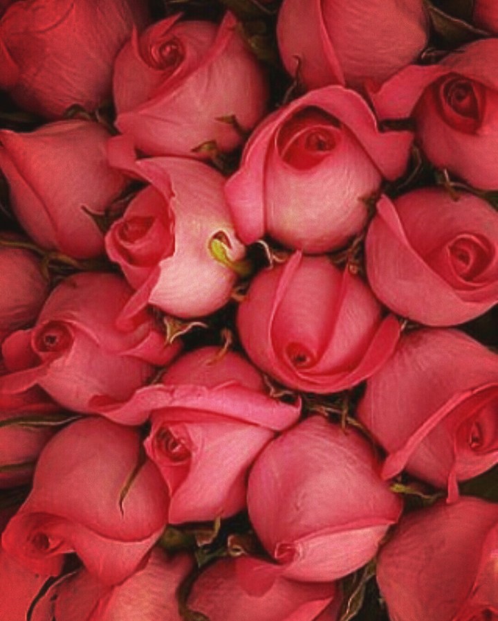 Roses ?