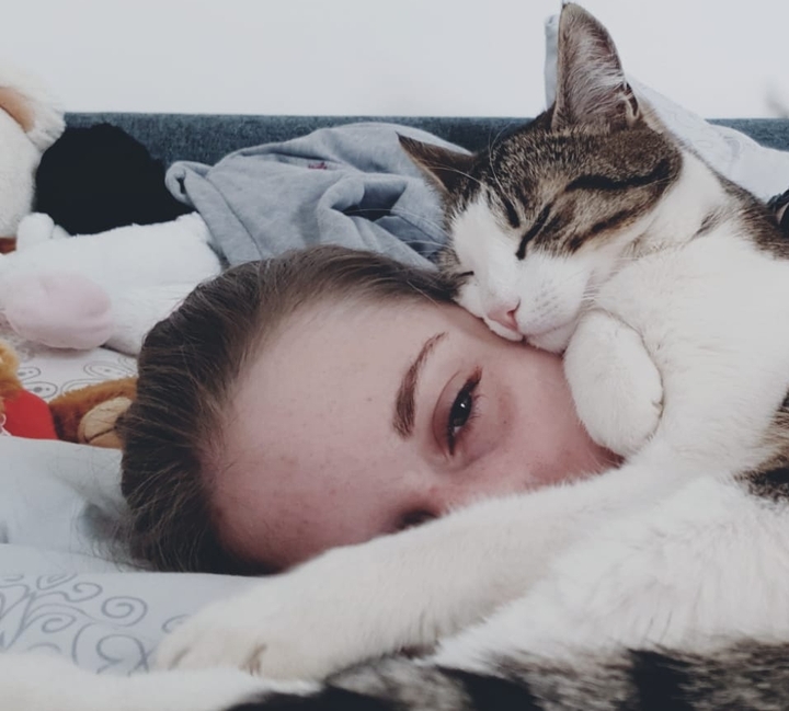 cats