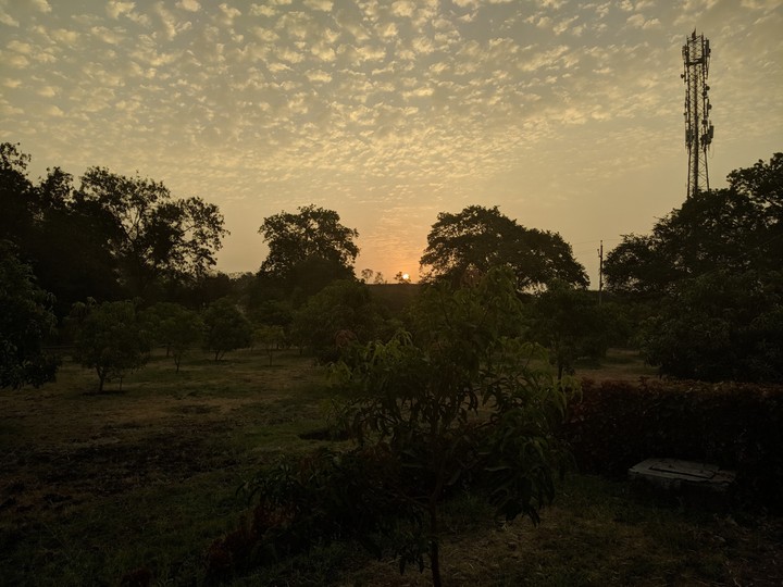 Thats One yellow sky