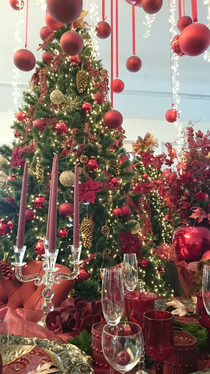 christmas deco Toerism Knokke b