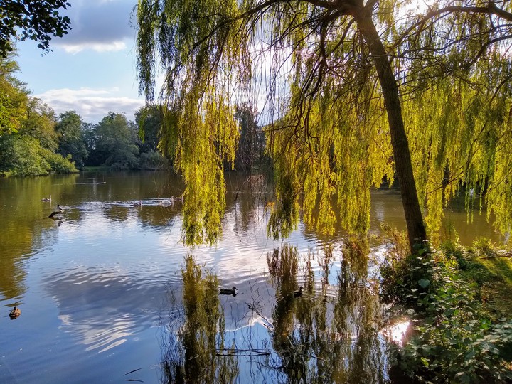 Georgengarten, Hannover