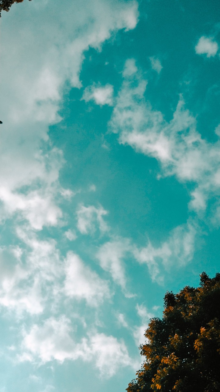 cloud 9
