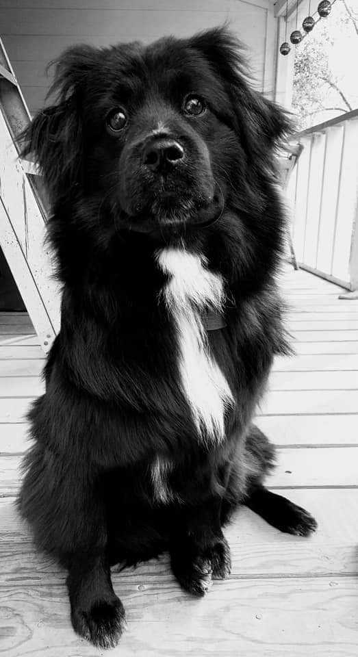 My Lulu girl
