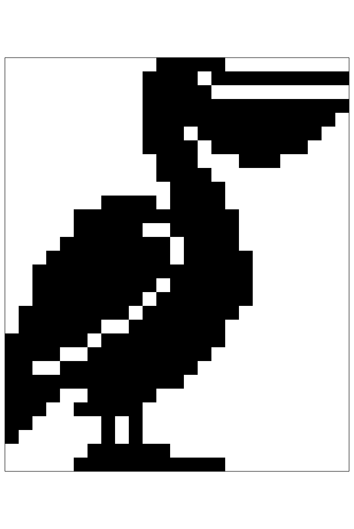 pelican