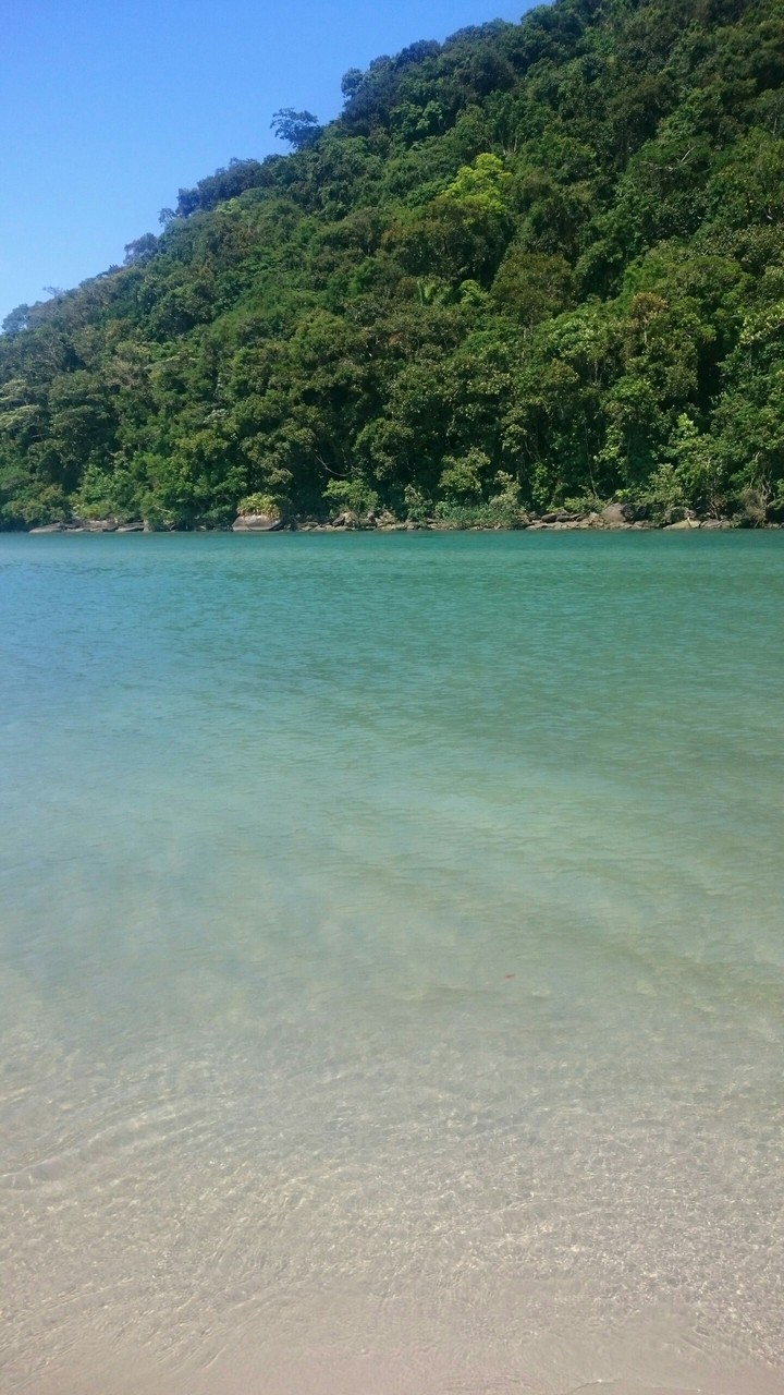 praia litoral norte Brasil