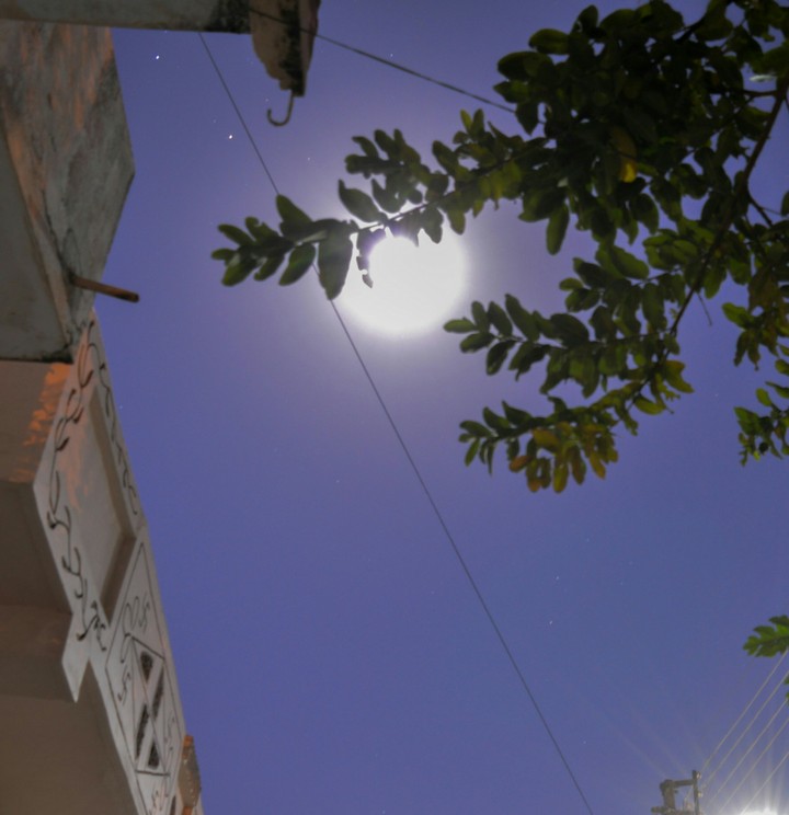 Night Landscape