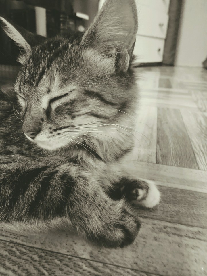Blanco y Negro