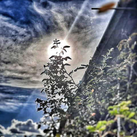 sonne