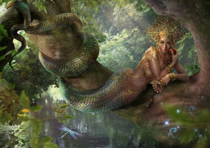 beautiful snakes