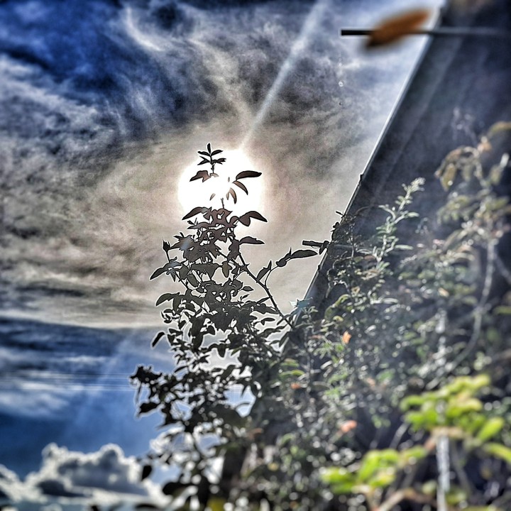sonne