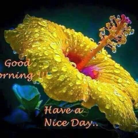 good 