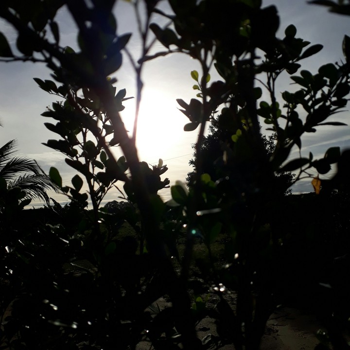 Good morning