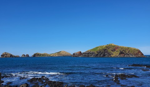 섬(ISLAND)