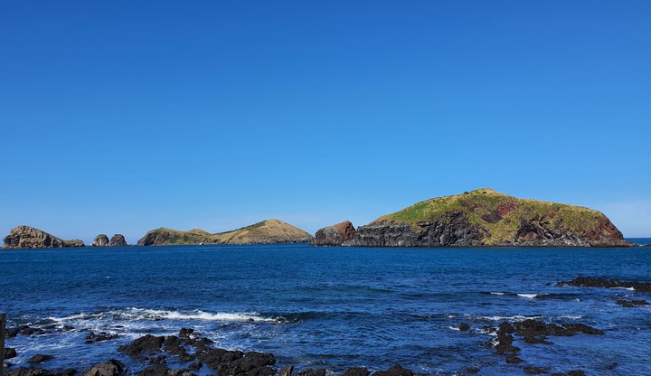 섬(ISLAND)