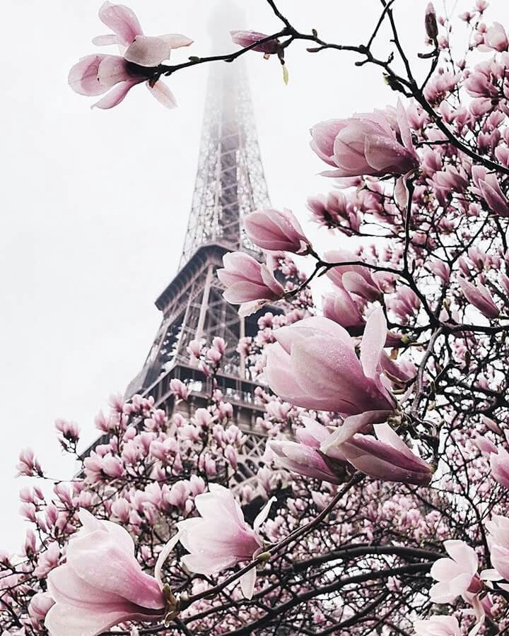 paris on spring
