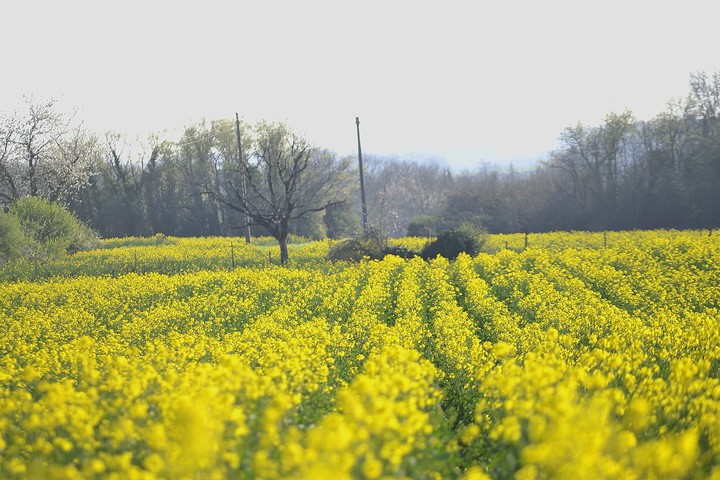 campagne